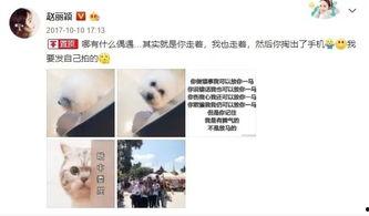 赵丽颖娱乐吃瓜事件真相,还原事件背后真相