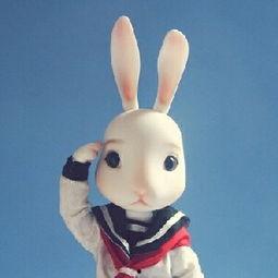 娱乐吃瓜直播间兔子