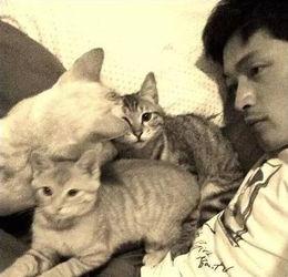 娱乐圈吃瓜猫是谁啊图片,揭秘网络红人的真实身份