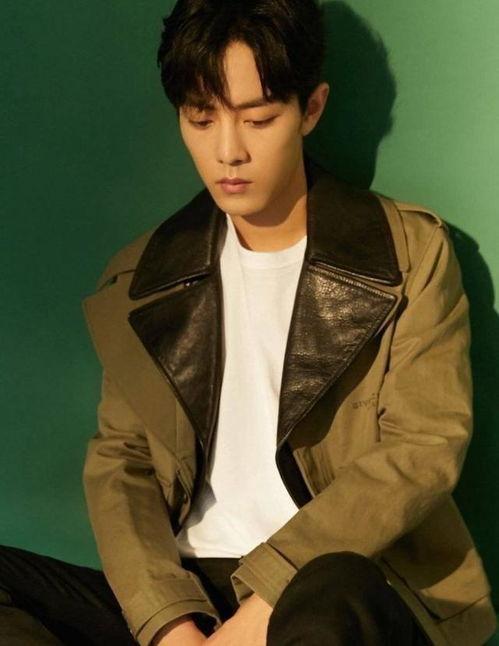 娱乐圈吃瓜爆料肖战是谁,娱乐圈吃瓜爆料中的焦点人物