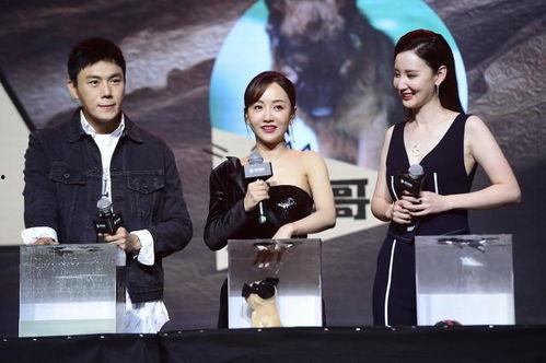 娱乐圈吃瓜爆料回放在哪看